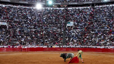 Las corridas de toros se han catalogado como maltrato animal y no como un espectáculo multicultural