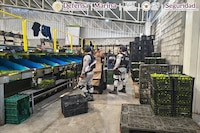 Plan Michoacán: operativos dejan 278 detenidos y aseguramiento de droga, armas y explosivos