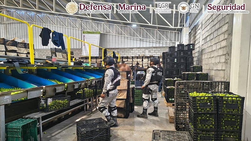 Plan Michoacán: operativos dejan 278 detenidos y aseguramiento de droga, armas y explosivos