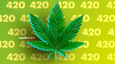 Te contamos la historia detrás del famoso dicho sobre el consumo de la cannabis