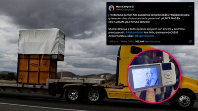 Fueron las palabras de Maru Campus para despedir a la jirafa