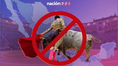 La crueldad animal está cada vez más penada en México