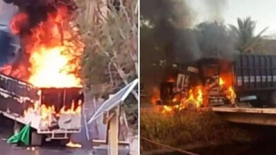 Los elementos de GN realizaban labores de vigilancia