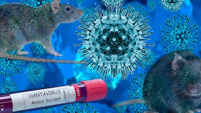 Secretaría de Salud emite aviso epidemiológico por hantavirus