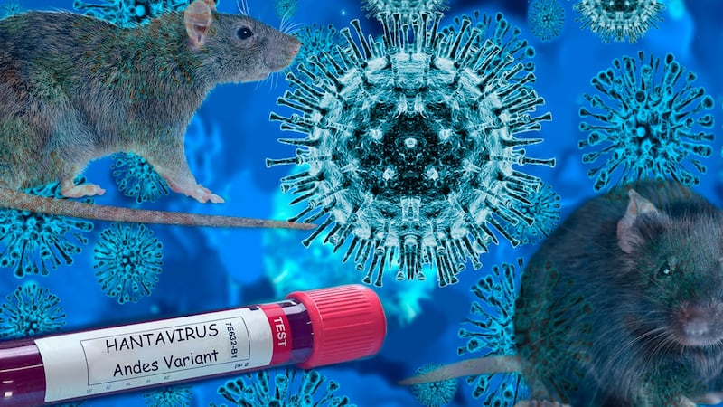 Secretaría de Salud emite aviso epidemiológico por hantavirus