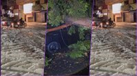 VIDEOS: Así se vivió la intensa lluvia con granizo en Álvaro Obregón y Cuajimalpa