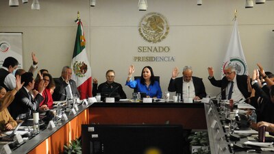 Así lo acordaron desde comisiones en el Senado en la discusión del 'Plan B'