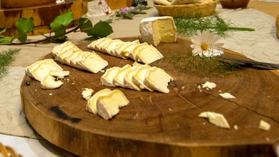 En rancho Santa Marina elaboran quesos orgánicos de oveja