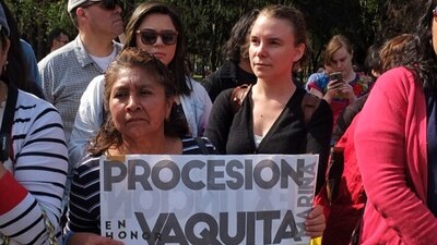 El Servicio de Pesca y Vida Silvestre de Estados Unidos dijo que ahora solo quedan unas 10 vaquitas