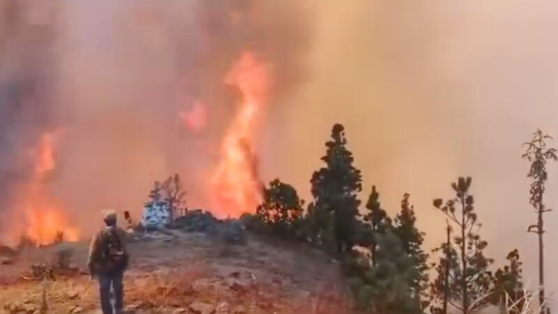 Mueren dos personas al intentar combatir un incendio forestal en Oaxaca
