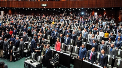 La organización del trabajo legislativo recae en gran medida en los coordinadores parlamentarios.