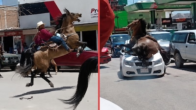 VIDEO: Caballo se desboca e impacta contra un auto y su jinete termina con fractura en Durango
