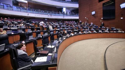 La reforma que fortalece la figura de la legítima defensa en favor de mujeres víctimas de violencia fue aprobada en el Senado