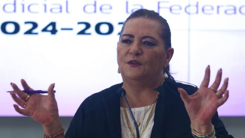 INE no participará en la redacción de la Reforma Electoral, asegura Guadalupe Taddei