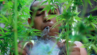 El último año 275 millones de personas en todo el mundo usaron drogas