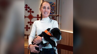 Sheinbaum se mostró contenta con los perritos que la acompañaron