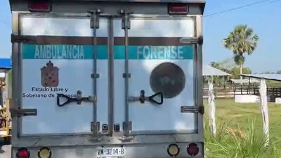 Fue encontrada en el Río Grijalva, en la comunidad de Acachapan y Colmena