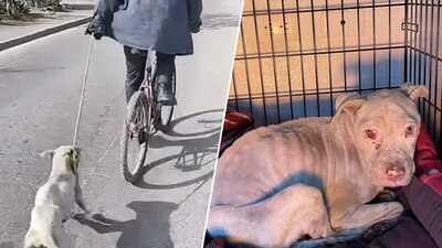 Las autoridades indicaron que buscan al responsable de la agresión en Nuevo León