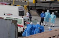 OMS eleva a 6 los casos confirmados de hantavirus en el crucero Hondius