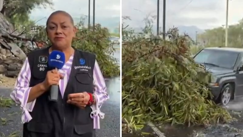VIDEO: Atropellan en vivo a reportera y camarógrafo, durante cobertura sobre las lluvias en Nuevo León