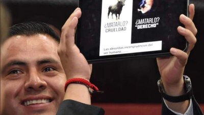 El diputado morenista mostró sonriente una foto de comparación entre aborto y tauromaquia
