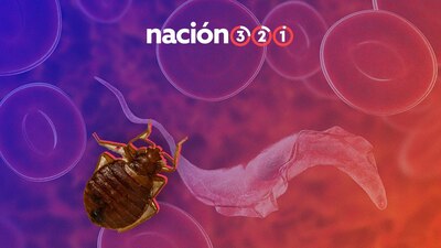 Son aparentemente inofensivas en cuanto a la transmisión de enfermedades