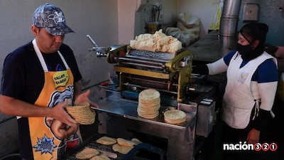 Descartan alza en el precio de la tortilla