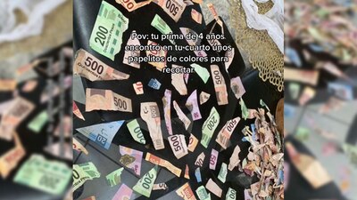 Los ahorros para un auto terminaron siendo pedacitos