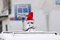 FOTOS: ¿En qué estados de México ha nevado durante este Frente frío 24?