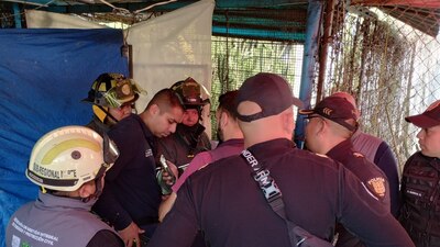 La pantera que fue vista en la zona del Metro Tacuba no pudo ser localizada por las autoridades.