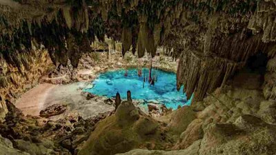 Sería el primer atractivo turístico de Grupo Xcaret en Yucatán.