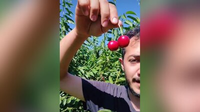 El joven criticó los salarios que se dan en México.