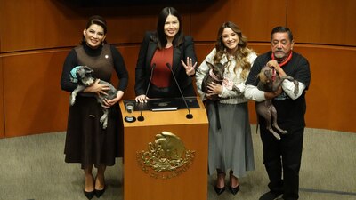 Aprovecharon el momento para llevar a un par de perritos y así hacer conciencia con los legisladores