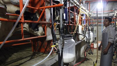 Detallaron que esta decisión llevará a la quiebra a la industria en el país