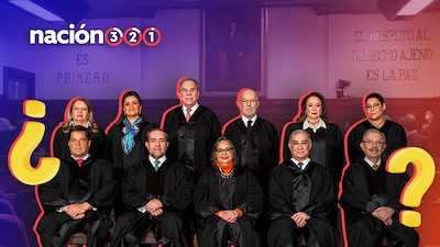 Esta es la actual conformación del Pleno, ¿quiénes seguirán en sus puestos?