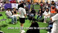 Perritos perdidos del Metro “eligieron” sus nuevas familias en jornada de adopción selectiva