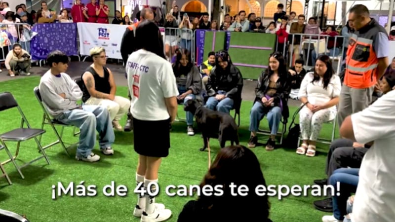 Perritos perdidos del Metro “eligieron” sus nuevas familias en jornada de adopción selectiva