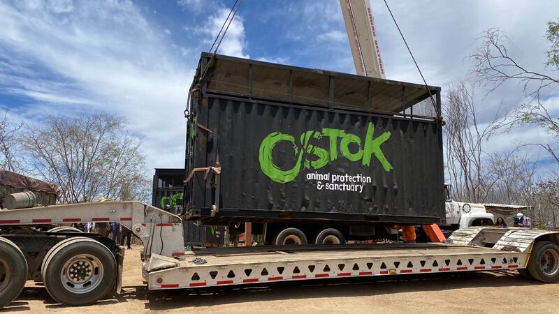 Cierra santuario de fauna Ostok en Culiacán por ola de violencia en Sinaloa