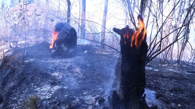 El incendio forestal está en los límites entre Ocuilan y Cuernavaca, en la zona de subida a Chalma