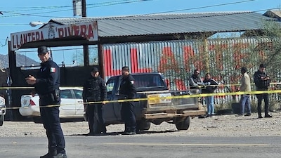 En esta región del Desierto de Altar se cultiva espárrago