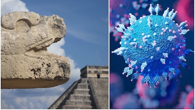 Los síntomas son muy similares a la variante 'perro del infierno'