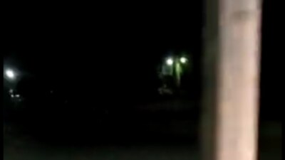 Un perrito en Zacatecas traía en su hocico una cabeza humana dejada en un cajero automático