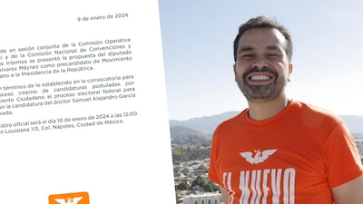 Actualmente, es el líder de Movimiento Ciudadano en la Cámara de Diputados