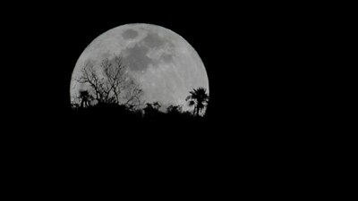 Se puede observar el satélite natural más grande que de costumbre