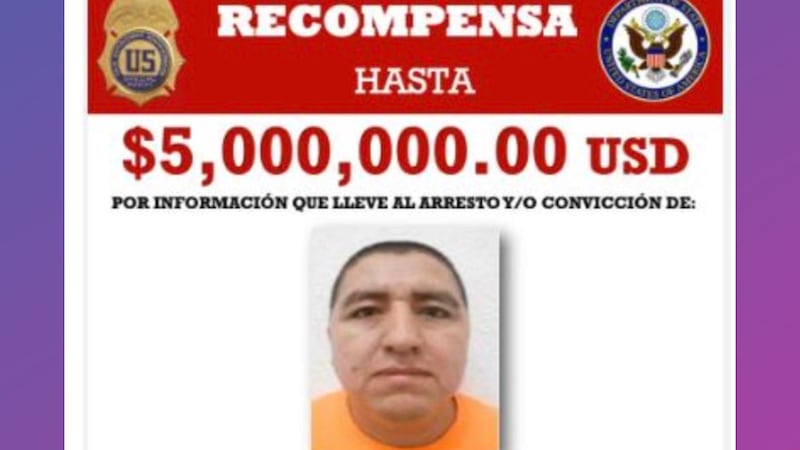 ¡Golpe al CJNG! Detienen en Nayarit a ‘El Jardinero’, criminal buscado en México y EU