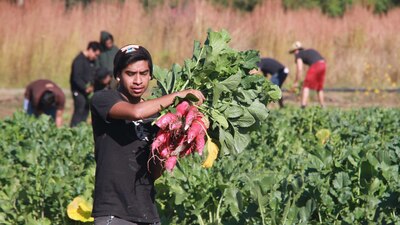 Involucrada otra vez en temas de desvío de recursos