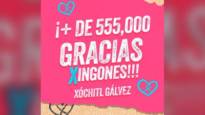 La condición era recolectar al menos 150 mil firmas en un mínimo de 17 entidades