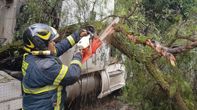 Los policías cerraron la vialidad para retirar el tronco