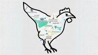 “Si te mantienes dentro la pasarás bien”: ¿De qué se trata el mapa del ‘Pollo de la CDMX?