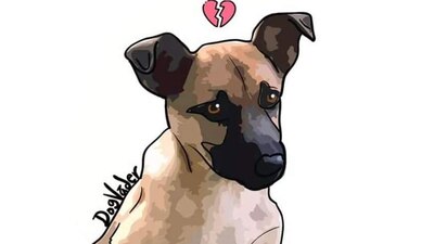 En redes sociales, cientos de usuarios exigieron diferentes penas para el agresor de 'Benito'